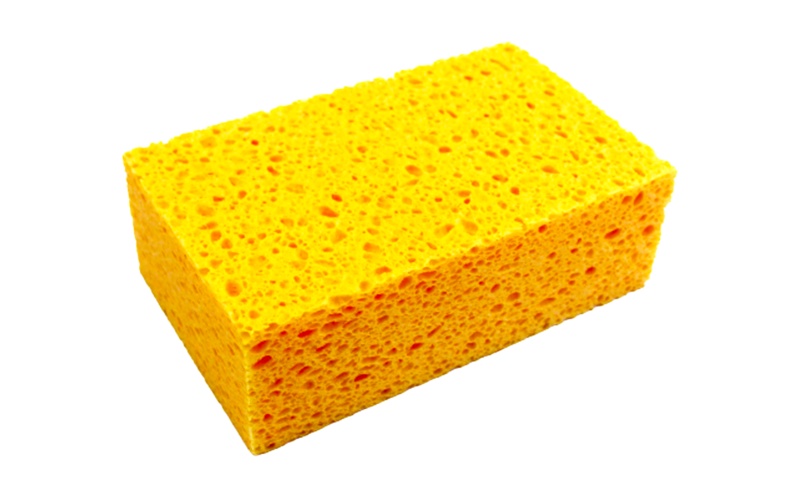 SPONGE