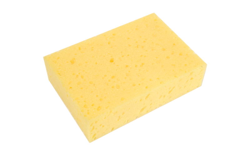 SPONGE